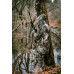 Куртка для охоты 3 в 1 утепленная водонепроницаемая мужская камуфляжная CAMO TREEMETIC 500 Solognac